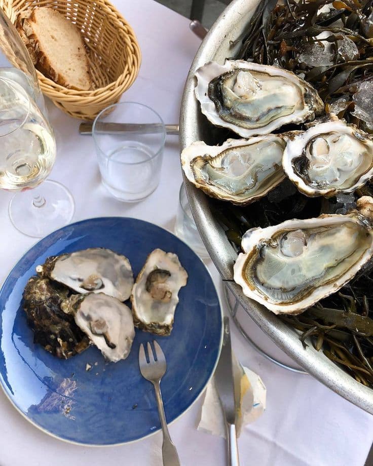 Plate of oysters