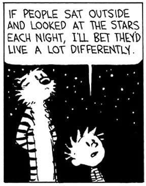 star calvin