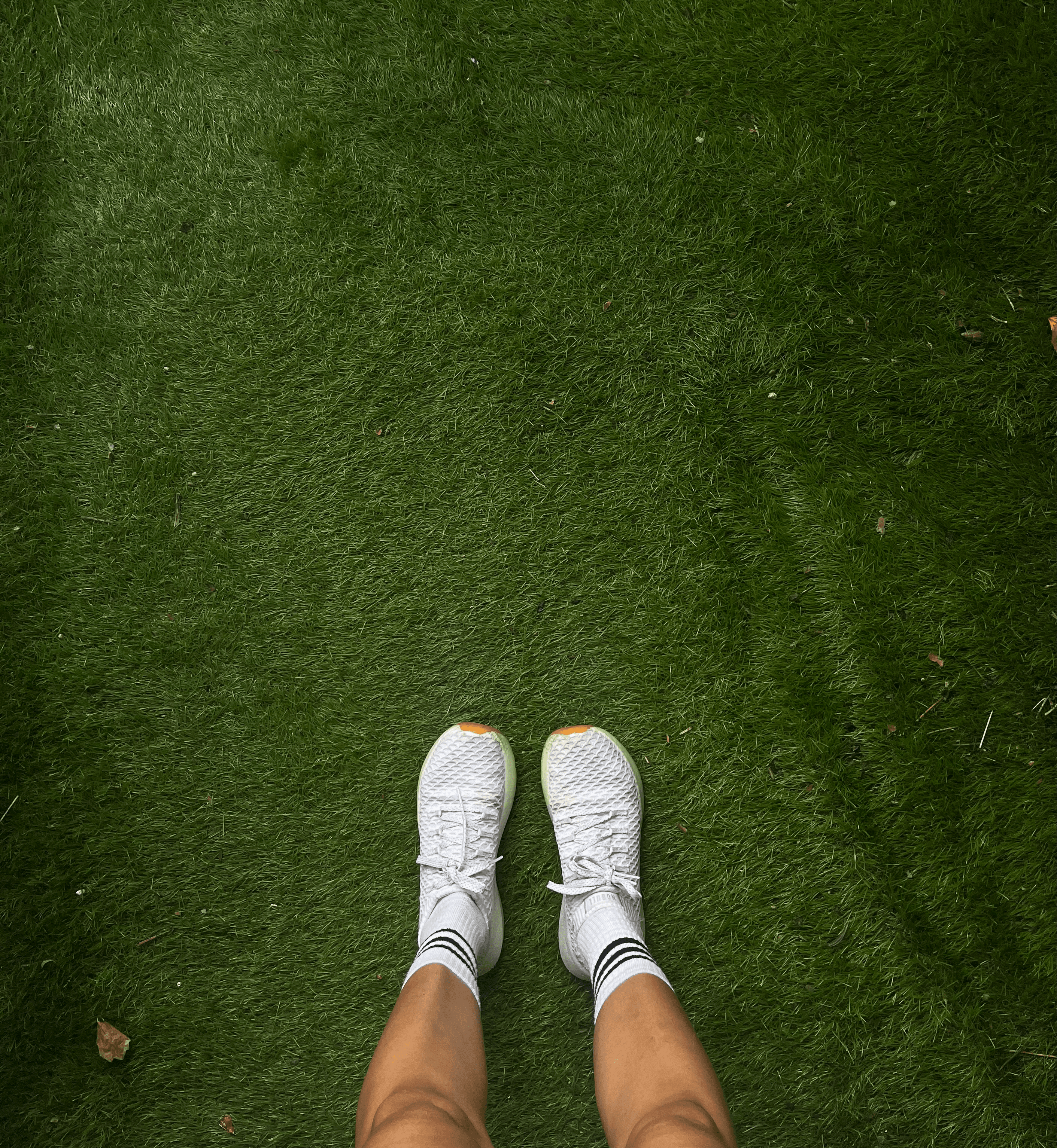 turf