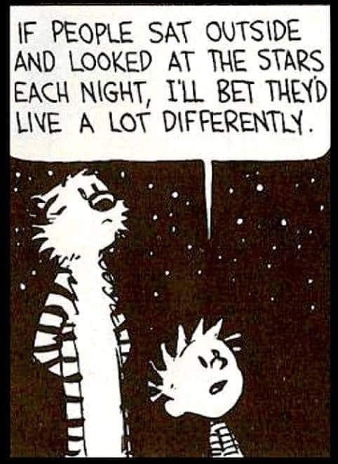 Calvin