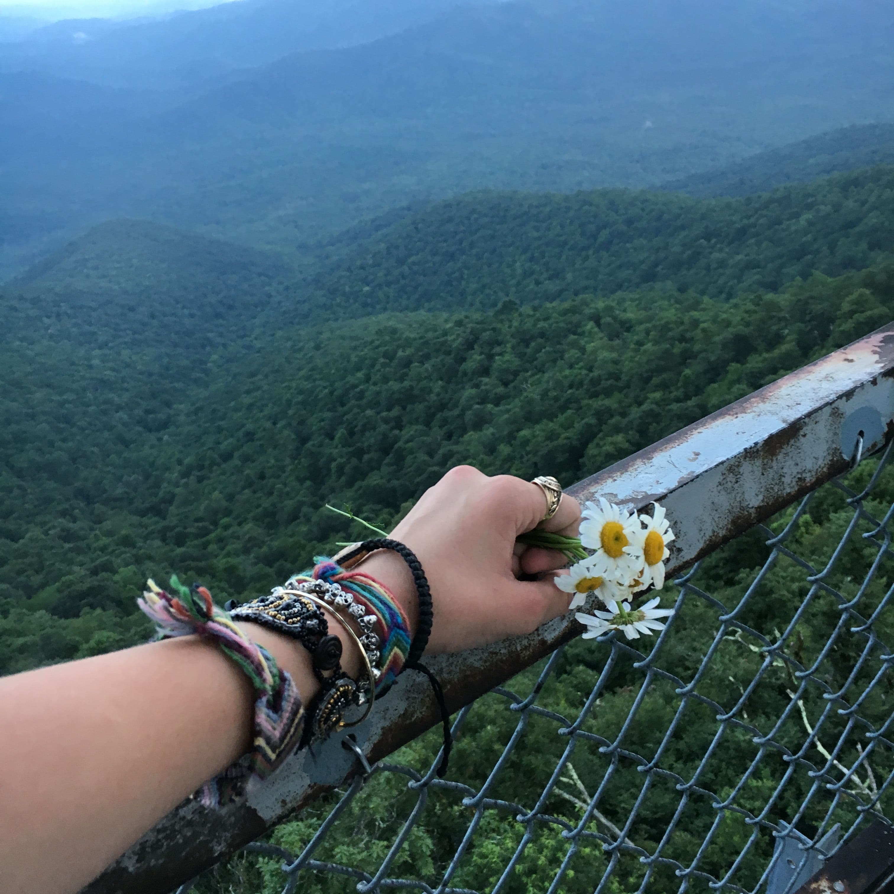 flowers