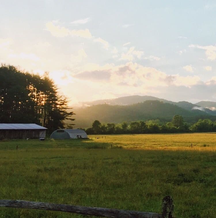 farm