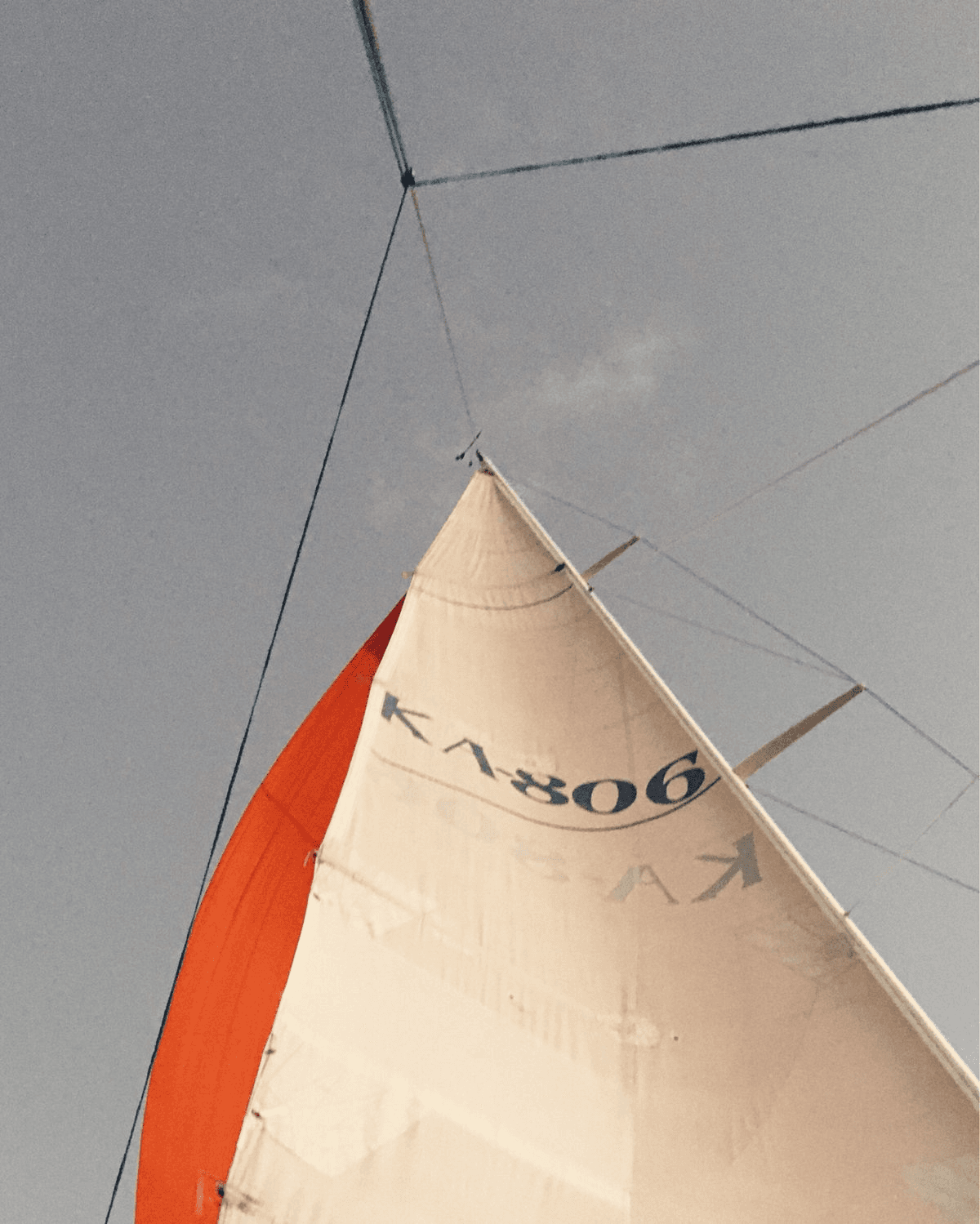 sail away