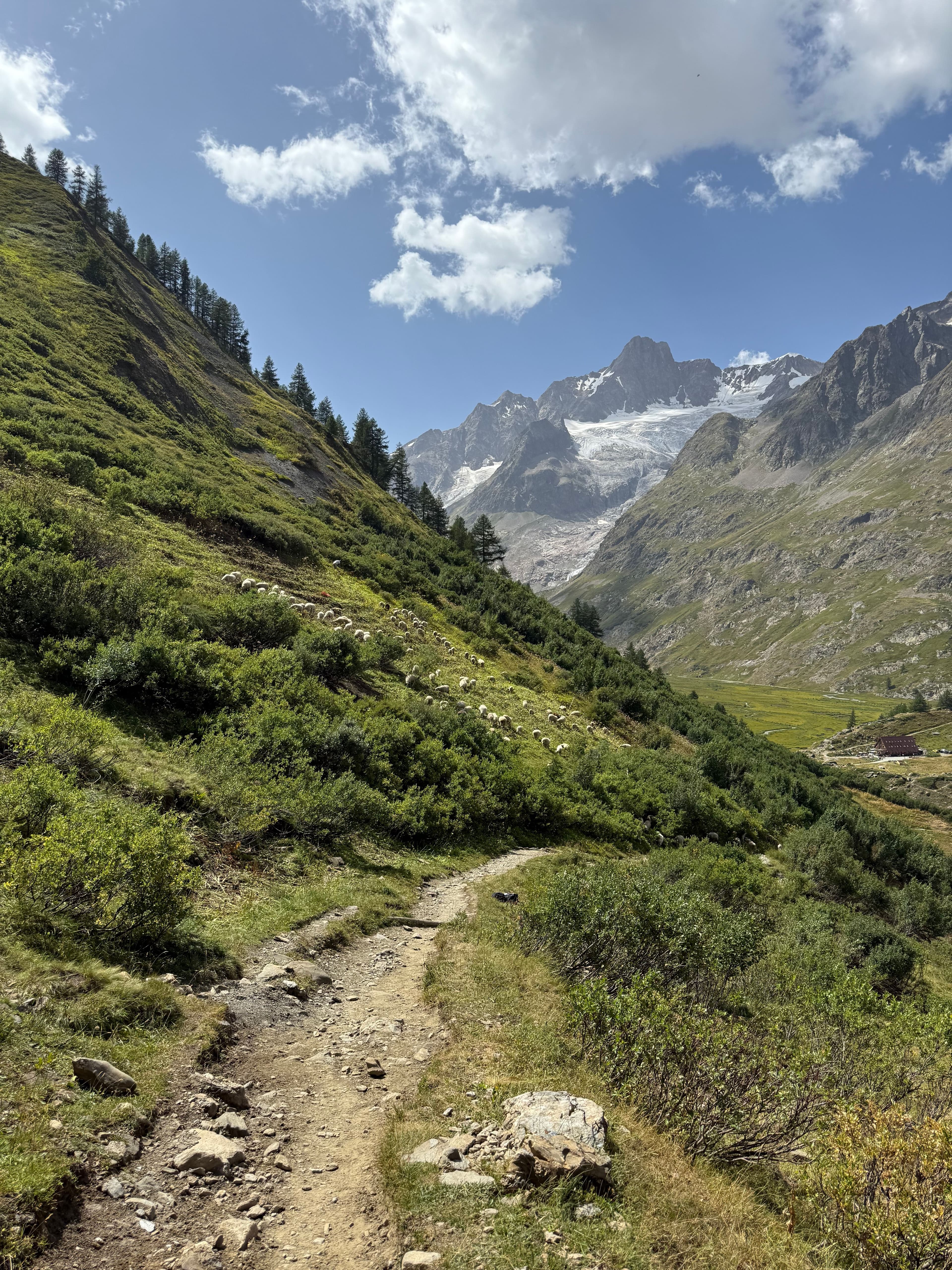 Hike