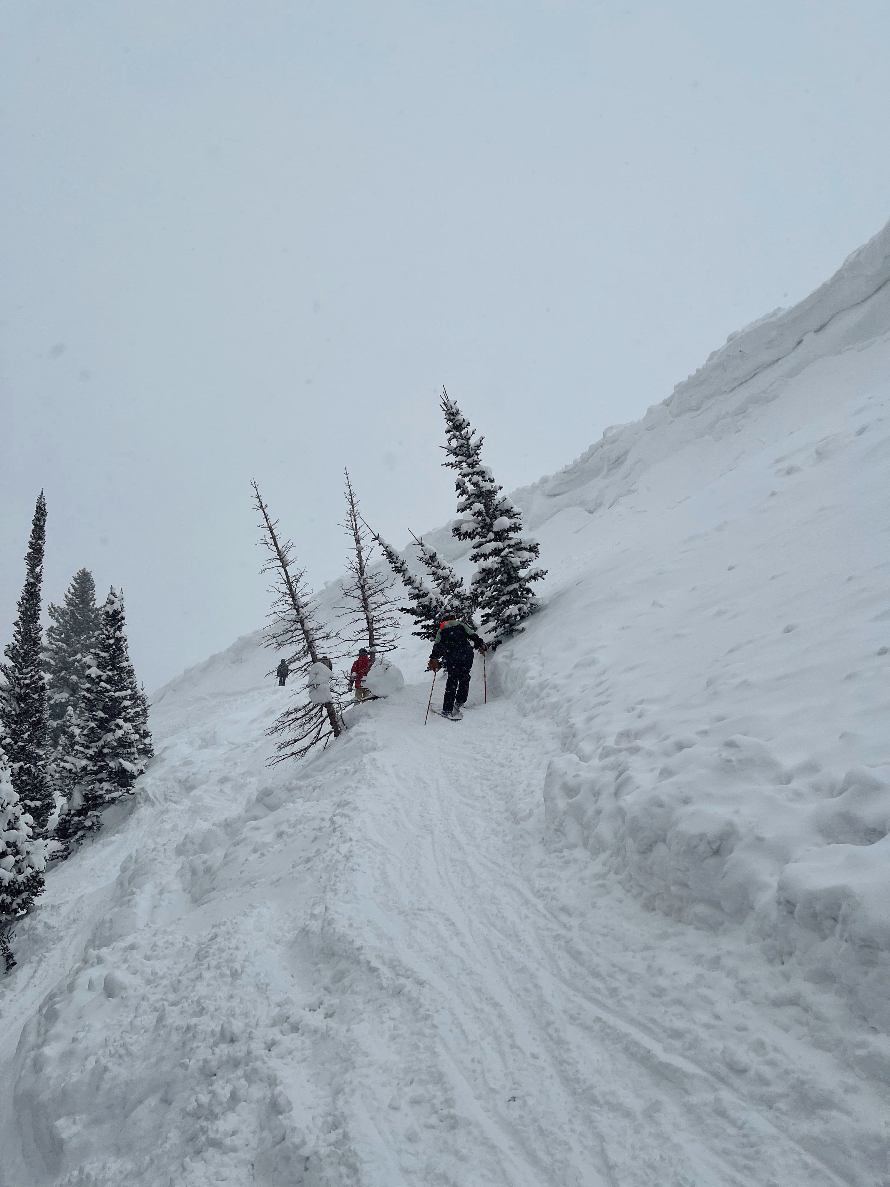 skiing