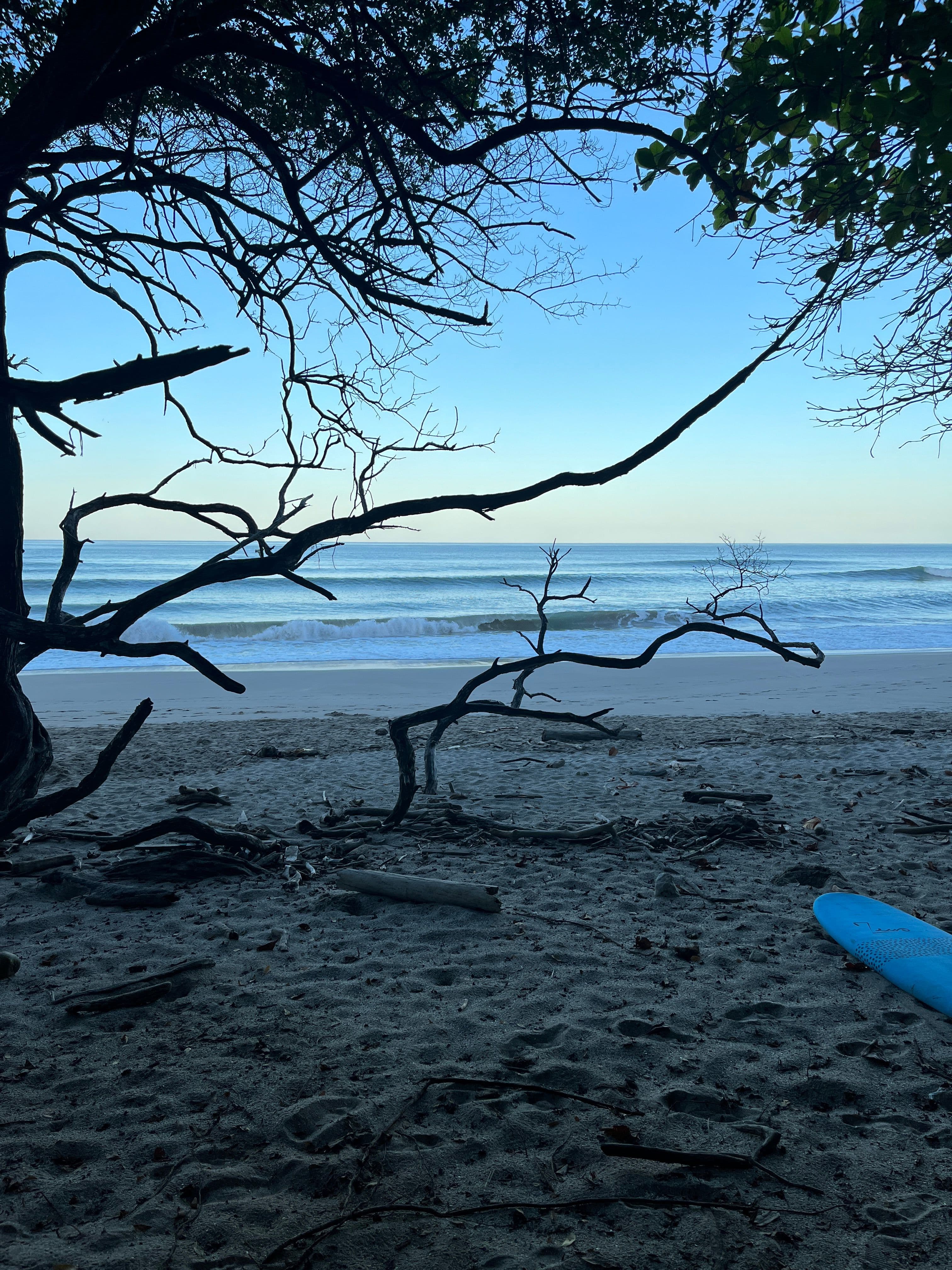 surfing